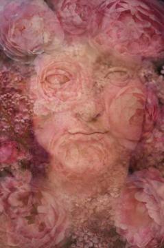 Flora : Digital Collage : Sue Bloom - Digital Collage and Digital Painting
