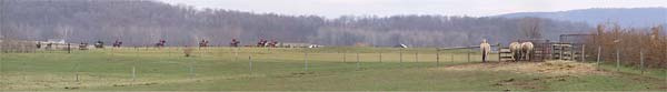 Fox Hunting, PA : Panoramas : Sue Bloom - Digital Collage and Digital Painting