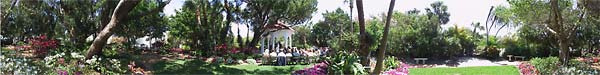 Wedding - Longboat Key, Florida : Panoramas : Sue Bloom - Digital Collage and Digital Painting