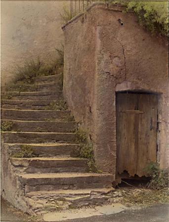  : Photography - Alternative Processes : Sue Bloom - Digital Collage and Digital Painting