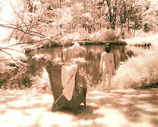  : Photography - Alternative Processes : Sue Bloom - Digital Collage and Digital Painting