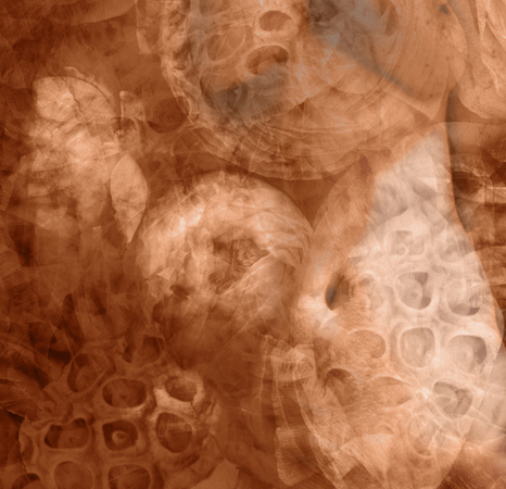  : Digital Collage : Sue Bloom - Digital Collage and Digital Painting
