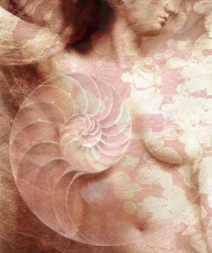 Nautilus Venus : Digital Collage : Sue Bloom - Digital Collage and Digital Painting