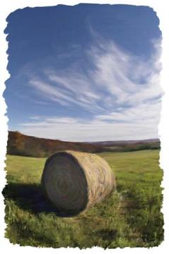 Hayroll : Digital Paintings : Sue Bloom - Digital Collage and Digital Painting