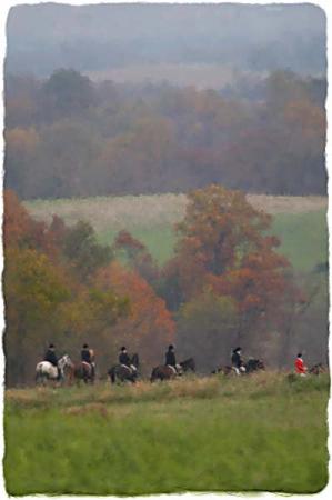Autumn Vista : Digital Paintings : Sue Bloom - Digital Collage and Digital Painting