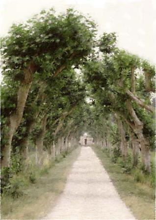 Arles Lane : Digital Paintings : Sue Bloom - Digital Collage and Digital Painting