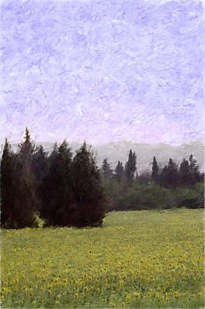 Van Gogh's Sunflower Field, Arles : Digital Paintings : Sue Bloom - Digital Collage and Digital Painting