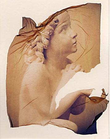  : Photography - Alternative Processes : Sue Bloom - Digital Collage and Digital Painting