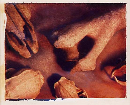  : Photography - Alternative Processes : Sue Bloom - Digital Collage and Digital Painting