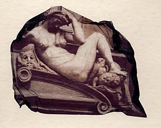  : Photography - Alternative Processes : Sue Bloom - Digital Collage and Digital Painting