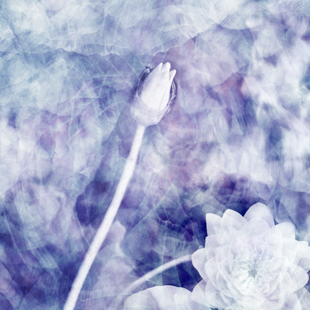  : Digital Collage : Sue Bloom - Digital Collage and Digital Painting