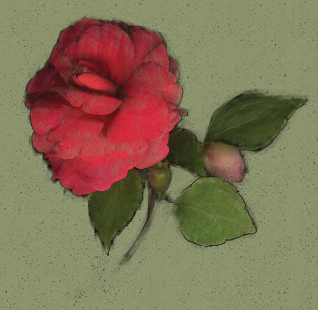 : Digital Paintings : Sue Bloom - Digital Collage and Digital Painting